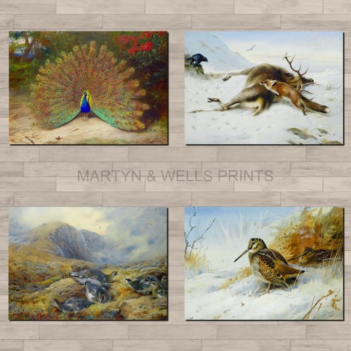 Archibald thorburn prints - archibald,