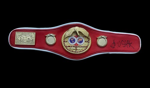 Oleksandr usyk hand - usyk, signed