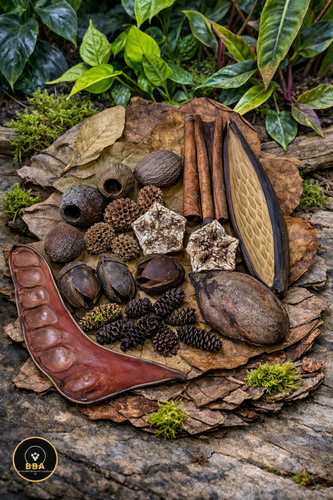 Small botanical box - botanical, blackwater