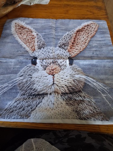 Rabbit cushion cover 45cm - cover, x