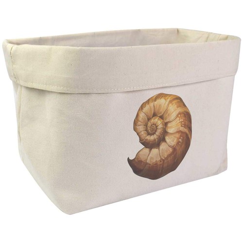 Ammonite fossil organiser - 'ammonite, /