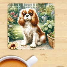 Cavalier King Charles Spaniel