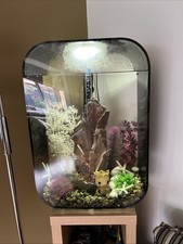 Fish Tank Aquarium