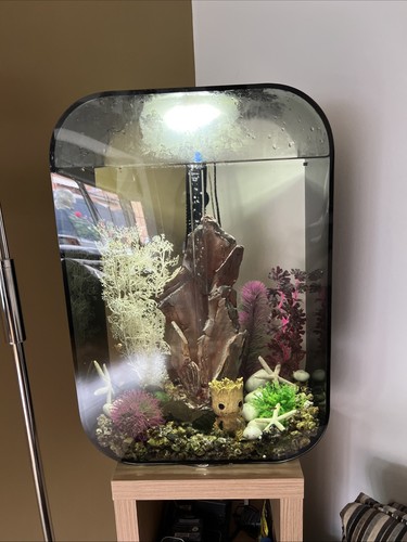 Fish tank aquarium - fish,