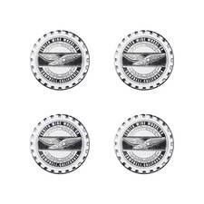 Zenith Chrome & White Metal