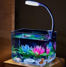 Small aquarium fish tank with - aquarium,