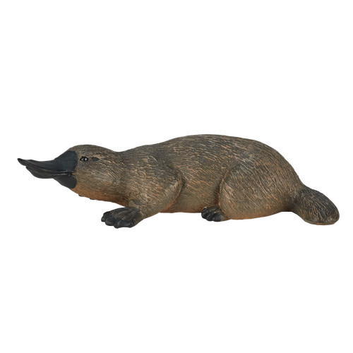 Mojo duck billed platypus - billed,