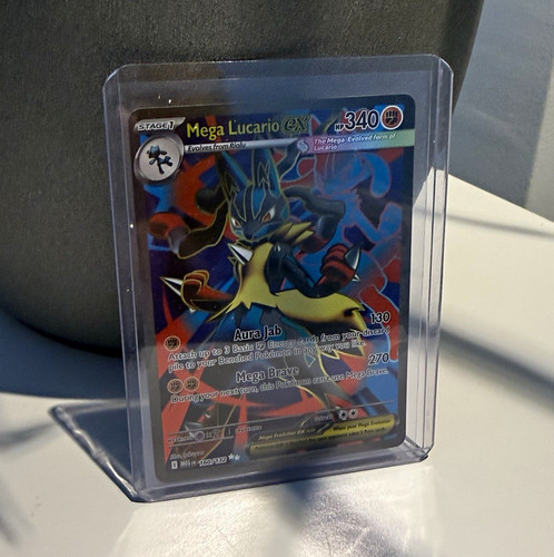 Pokémon company - pokémon,