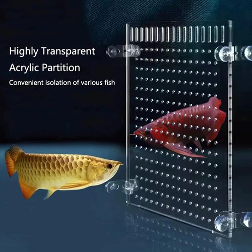 Acrylic aquarium fish tank - acrylic,
