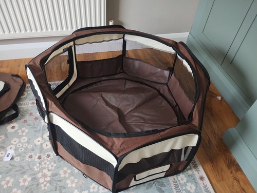 Puppy playpen kitten - puppy,