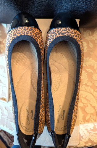 Clark sara orchid - clark's, leopard