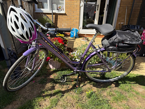 Raleigh pioneer women - raleigh, women’s