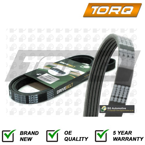 Drive belt torq fits - belt,