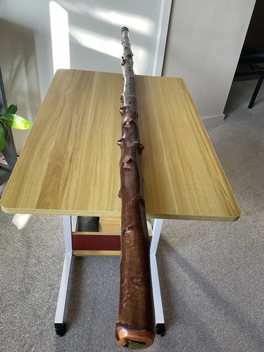 Irish blackthorn hiking stick - irish,