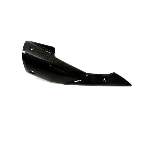 Akrapovic carbon fiber exhaust - carbon,