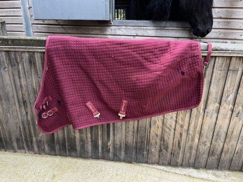 Lemeiux cooler rug - lemeiux,