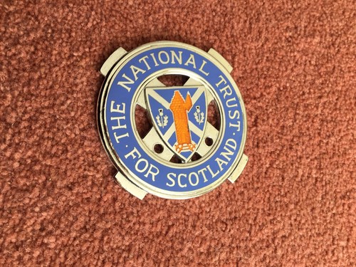 Vintage car badge - badge., (