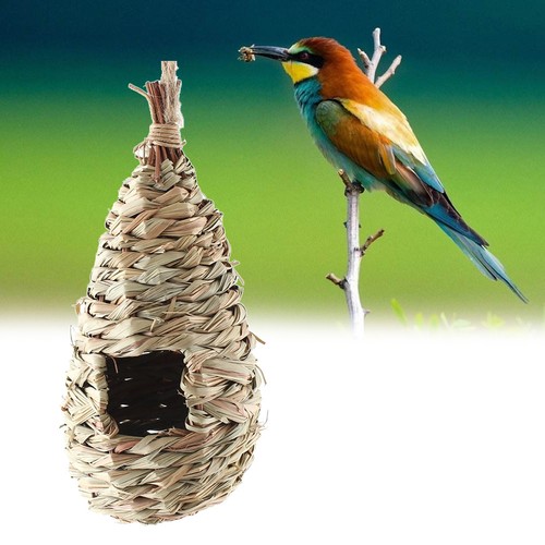 Budgie nest parakeet nesting - nest,