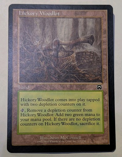 Hickory woodlot mercadian - woodlot,