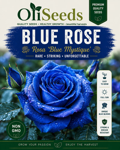 Blue rose seeds ornamental - seeds,