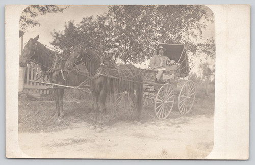 Postcard rppc horse - horse, drawn