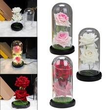 Mini Eternal Flower in Glass