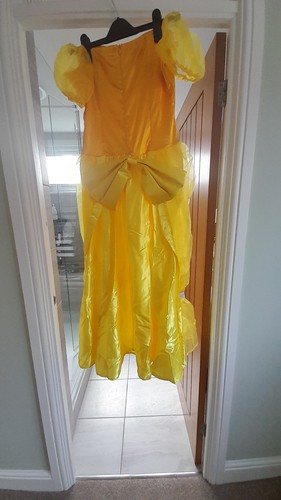 Adult belle fancy - adult, dress