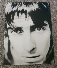 Liam Gallagher / Oasis -