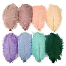 10Pcs/Lot Colored Ostrich