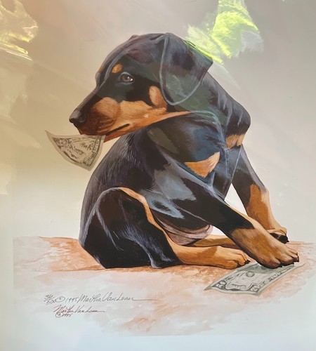 Doberman pinscher puppy ltd - pinscher,