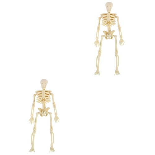 Pcs fake skeleton - pcs,