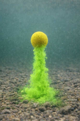 Pop boilies bait smoke - bait,