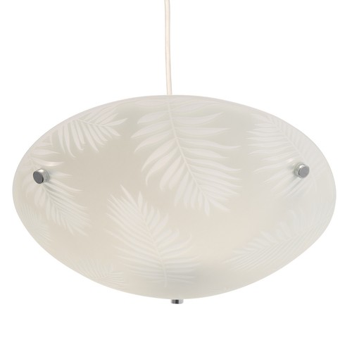 Areca leaf glass - areca,