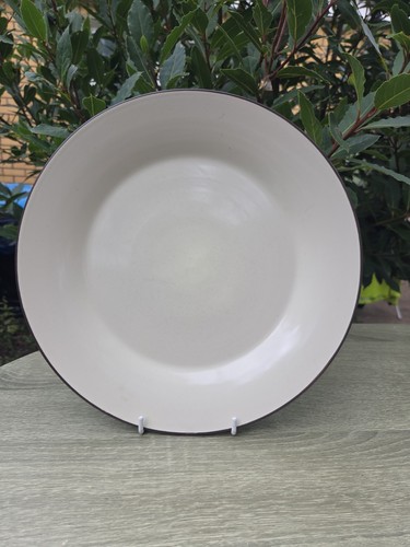 Next neptune large dinner - neptune,