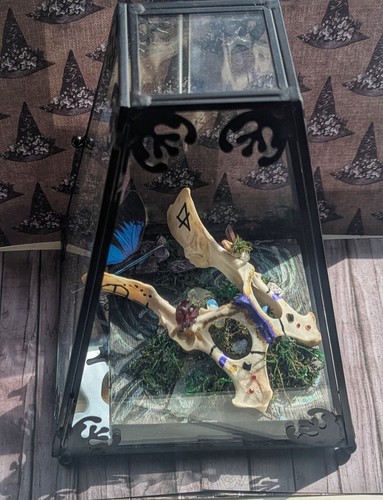 Bone taxidermy art witchy - bone,
