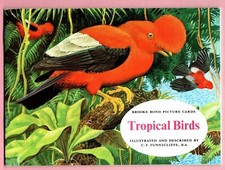 Brooke Bond: Tropical Birds