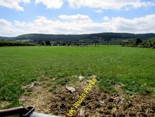Photo 6x4 Grazing land in