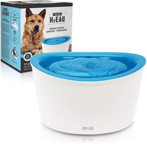 Zeus dog water drinking - zeus,