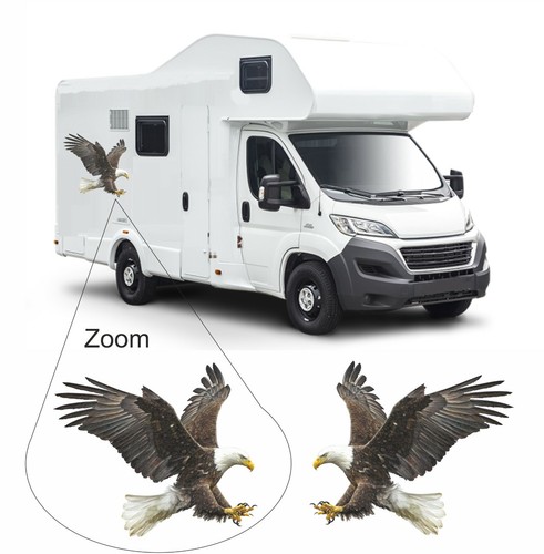 Full colour eagle 300mm - x,