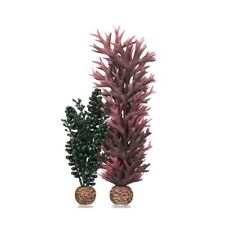 OASE BIORB SEA PEARL AND KELP