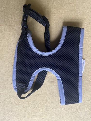 Pet cat harness - cat, vest