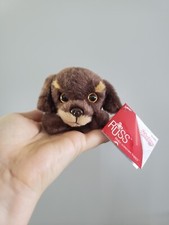 Russ Petooties Pets Hocus