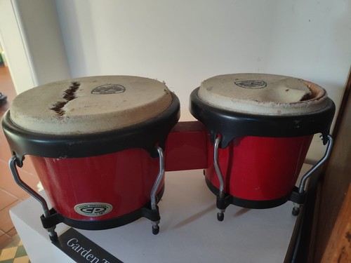 Bongos hand percussion - hand,