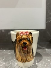 Teacup Yorkshire Terrier
