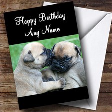 Mastiff Puppy Dogs