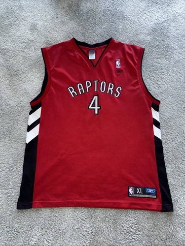 Toronto raptors 2011 - toronto,