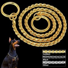 Choke Chain Training Dog