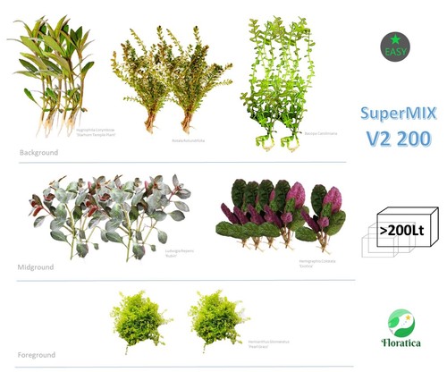 Live aquarium plants - 70,