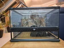 Exoterra glass terrarium