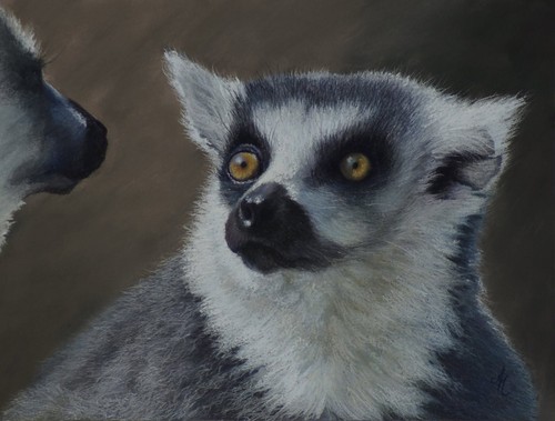 Original pastel lemur painting - lemur,